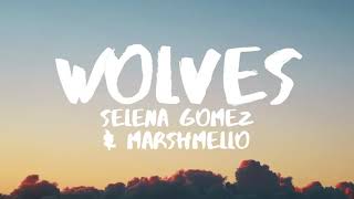 Selena Gomez, Marshmello - Wolves for 1 hour