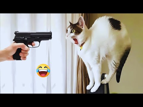 You Laugh You Lose 😂 Funniest Cats and Dogs 2026 😅 Part 5