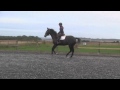Faerie Fantastic Florence Flatwork
