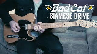 Video thumbnail for Bad Cat Siamese Drive | Quick Demo by Tim Nienhuis by Tim Nienhuis