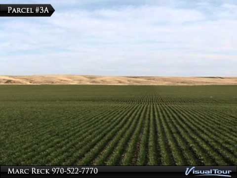 Colorado Meinzer Farm Land Auction