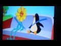 Oswald Snow To Go