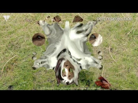 Look Who’s Back Vfx Breakdown - animation