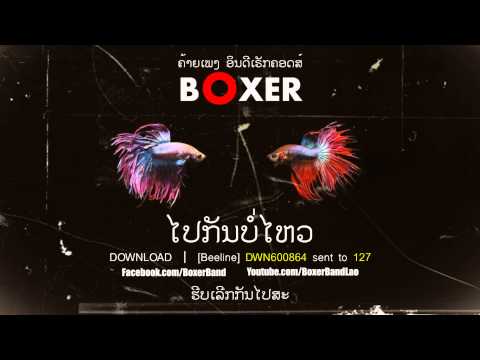 Boxer - Pai kun bor wai | ໄປກັນບໍ່ໄຫວ | Official Audio