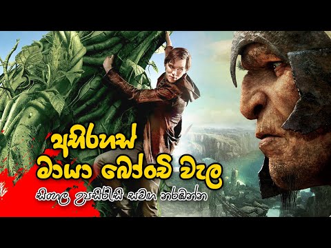 අභිරහස් මායා බෝංචි වැල | සිංහල උපසිරැසි සමඟ නරඹන්න | Jack and the Beanstalk The Real Story