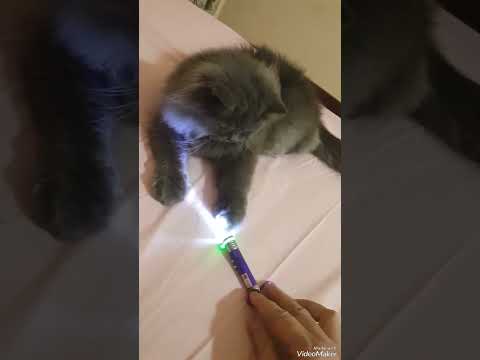 My Darling Bhola😍