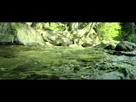 Minuscule - La vallée des fourmis perdues (2014)