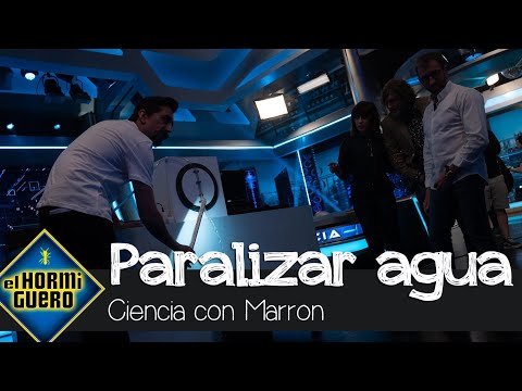 Marron sorprende paralizando un chorro de agua - El Hormiguero