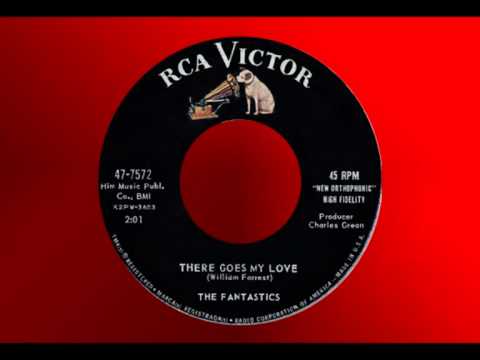 THE FANTASTICS - There Goes My Love (1959) Doo-Wop at its Best!