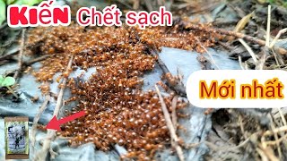 Combo3 lọ Thuốc diệt kiến gián sinh học Hanpet (chai xanh)- Dung dịch diệt kiến tận gốc