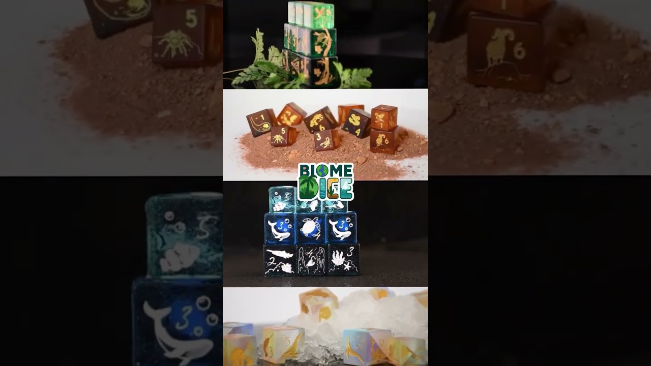 🎲 Adventure begins in the wild…