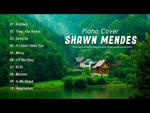 Shawn Mendes | Top Best Hits Playlist |Piano Cover #35