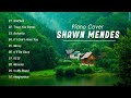 Shawn Mendes Top Best Hits Playlist Piano Cover 35