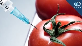 What's the Deal with Genetically Modified Food?