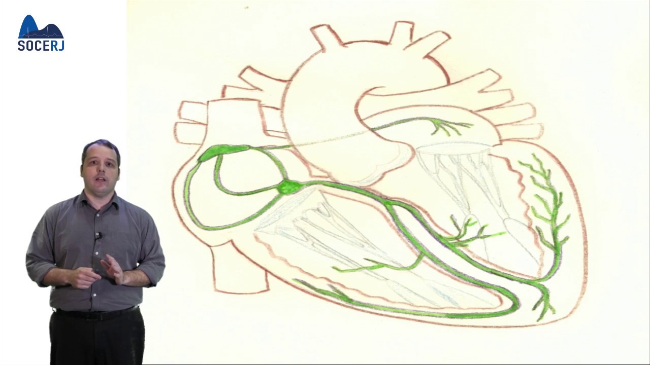 Curso Básico de ECG - Aula 07:  Introdução as Arritmias