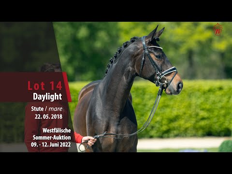 Sommer-Auktion Lot 14 Daylight Stute v. Danzador - Mailaender