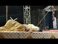 New Rajasthani Dance Rekha Mewara राजस्थानी न्यु विडयो रेख
