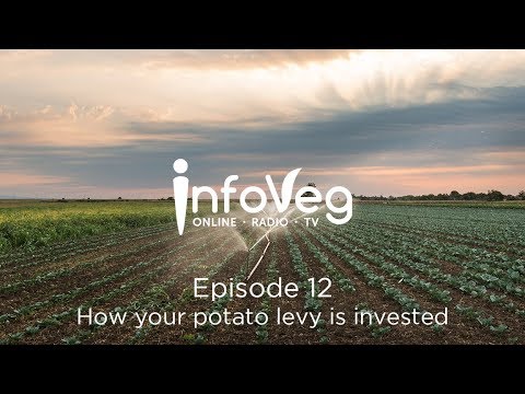InfoVeg TV Episode 12 | How your potato levy is invested