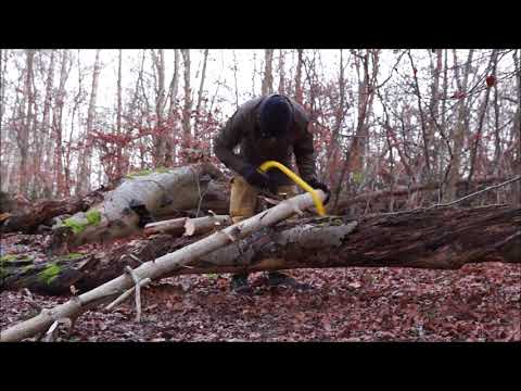 Lostinature tur - Stenalderhytten 2