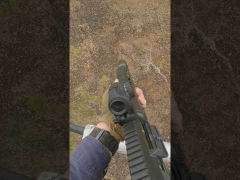 Boar on burnt country. #aerialshooting #wildlife #hog