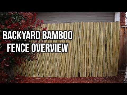 Backyard Bamboo Fencing – Easy Way For More Backyard Privacy?