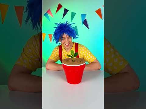 BEST Food Puzzle Game🥦🍊 MATCH & LEARNING 🤓