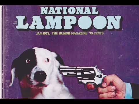 Network - Back in America