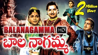 Bala Nagamma Telugu Full Movie | NTR | Anjali Devi | SV Ranga Rao #SkyVideosTelugu