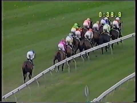 LINESMAN 1996 St Leger, 1997 Chairmans Handicap, 1997 Sydney Cup, 1997 Summer Cup