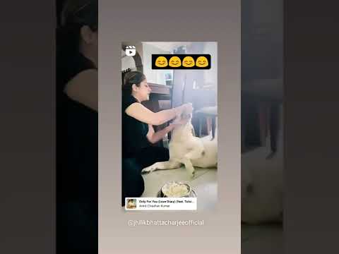 Best video ever in the utube 🥰😘#dog