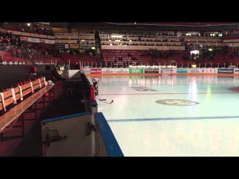 Martin som Minitiger på Brynäs-Luleå 150115