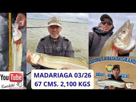 DELPESCADORTV644. MATUNGOS EN MADARIAGA Y EN VIAMONTE CORDOBA
