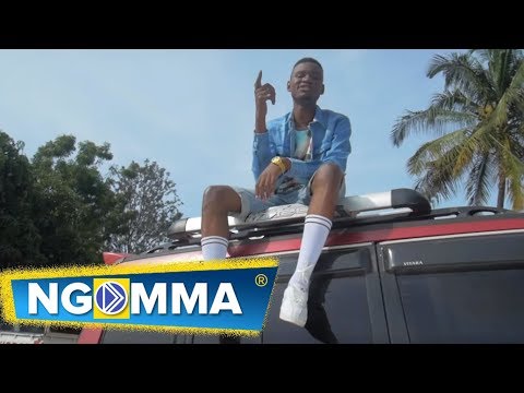 Fabreezy - Sina Team (Official Music Video)