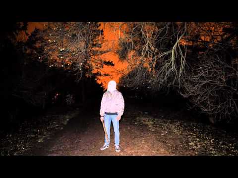 The Dog - The Constant Factor