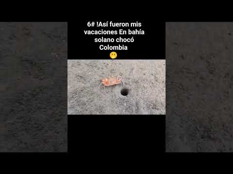 6 parte 6# !Así fueron mis vacaciones En bahía solano chocó Colombia 🫢 #bahiasolano #vacaciones #mar