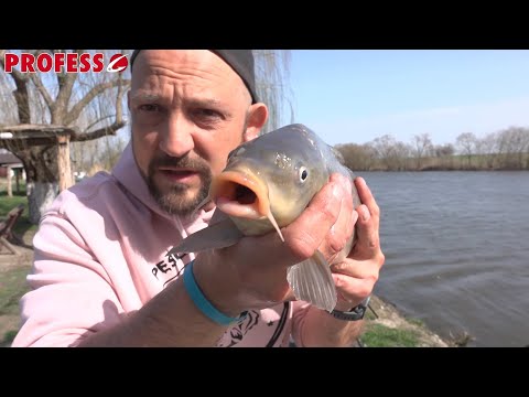 M-a prins furtuna pe Balta Nana x Pescuit langa Bucuresti 2025 x Pescarii Sinceri