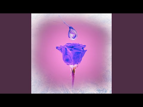 Hot Mess - The Odd Eights