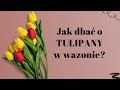Jak Dbać O Tulipany W Wazonie Kondycjonowanie Tulipanów