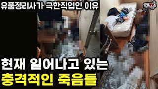 듣고도 믿기 힘든 대한민국의 현실 |유품정리사가 극한직업인 진짜 이유