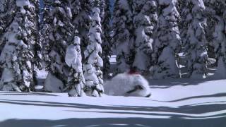 Revelstoke Snowmobiling