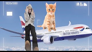 Cover art for website