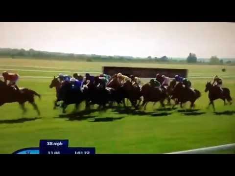 Qipco 1000 Guineas - Miss France Channel 4 coverage