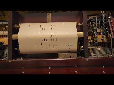 I Never Knew What the Moonlight Could Do. QRS 3699. J. Lawrence Cook