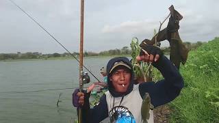 preview picture of video 'Strike ikan nila maakknyyuus mancing di waduk cengklik'