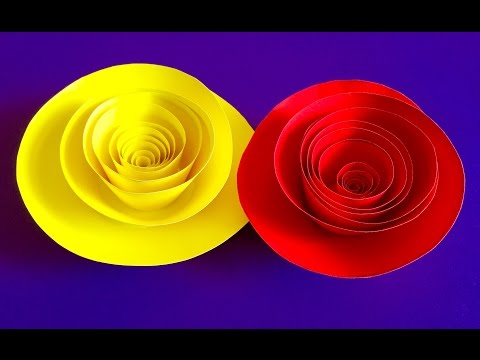 Rolled Paper roses | Quilling paper flowers wall decoration | Valentine's day gift and decor ideas Video
