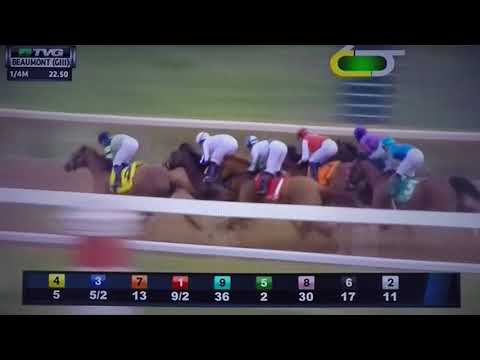 BEAUMONT (G 3) STAKES 4/8/18 - GAS STATION SUSHI !!