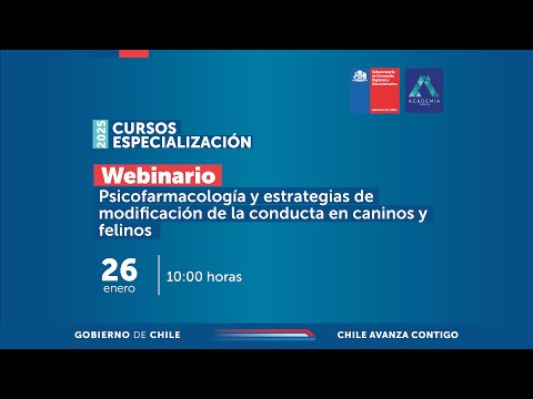Psicotrópicos: ni la Fluoxetina, ni la Trazodona, ni la Gabapentina lo resuelven todo