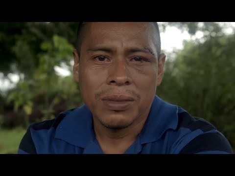 Jerhy – Trailer (Español)