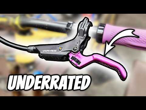 Back from the '90s and Better than Ever | Hayes Dominion A4 Review