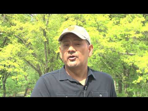 The New York Hardcore Chronicles 10 Questions w/ Freddy Alva (Author)